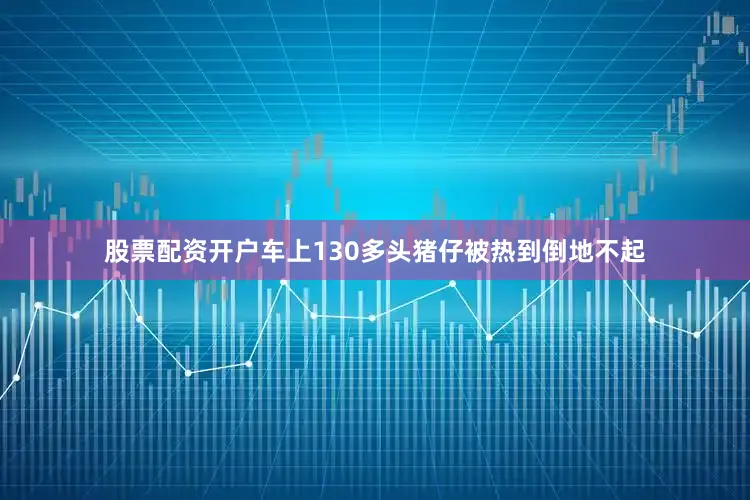 股票配资开户车上130多头猪仔被热到倒地不起